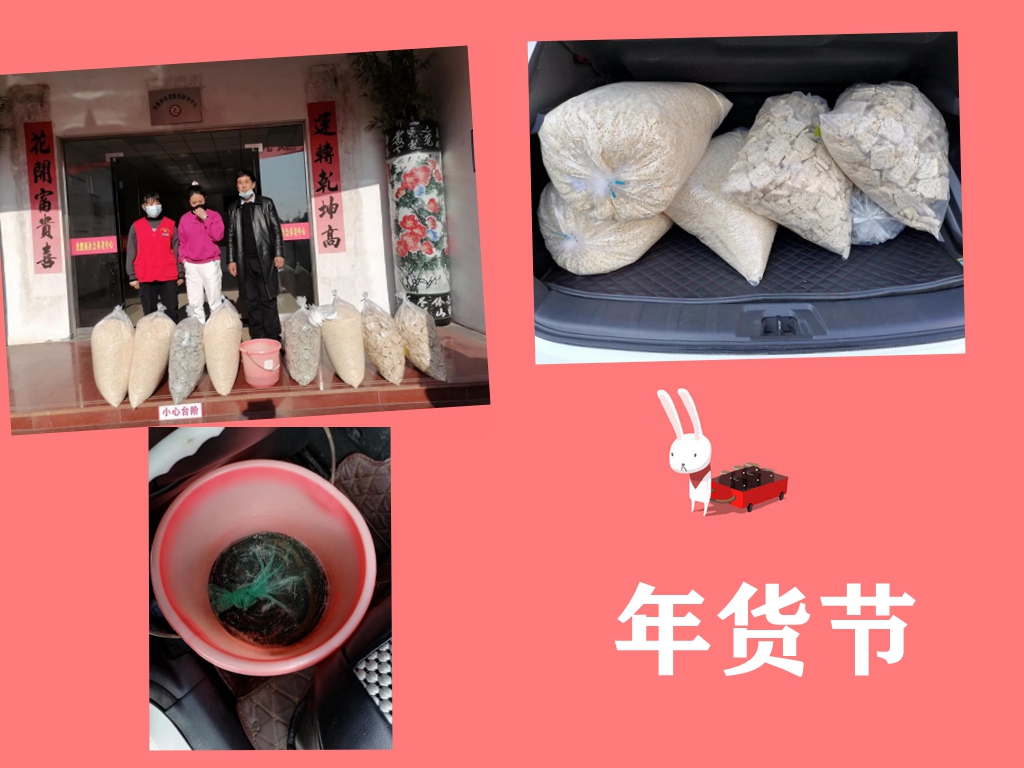 NeoImage_副本_副本.jpg
