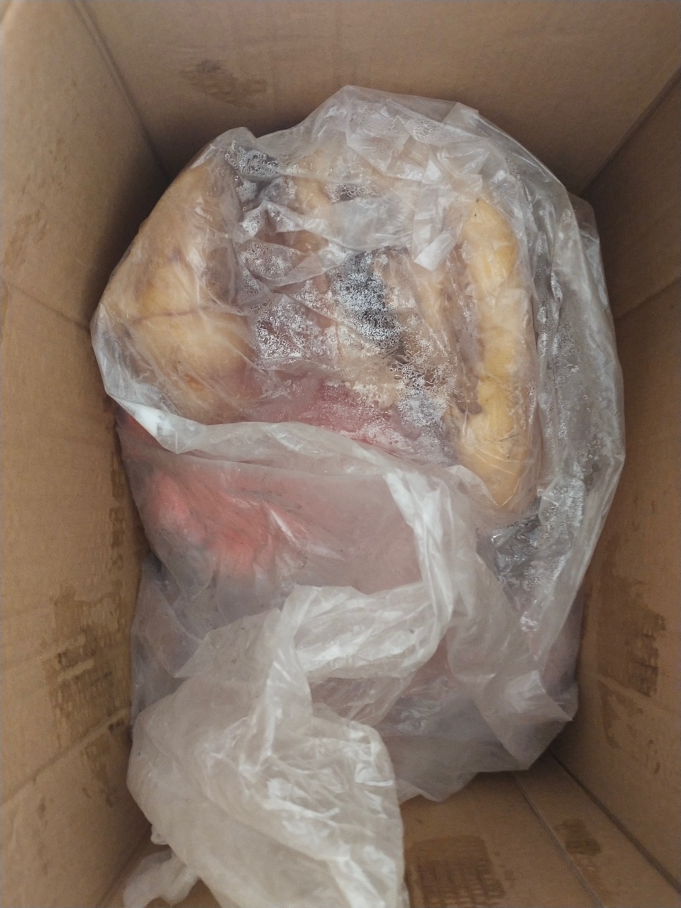 front1_0_FvDZlXGLXzpRiWmE-RaKRoSzScPS.1613789141.jpg