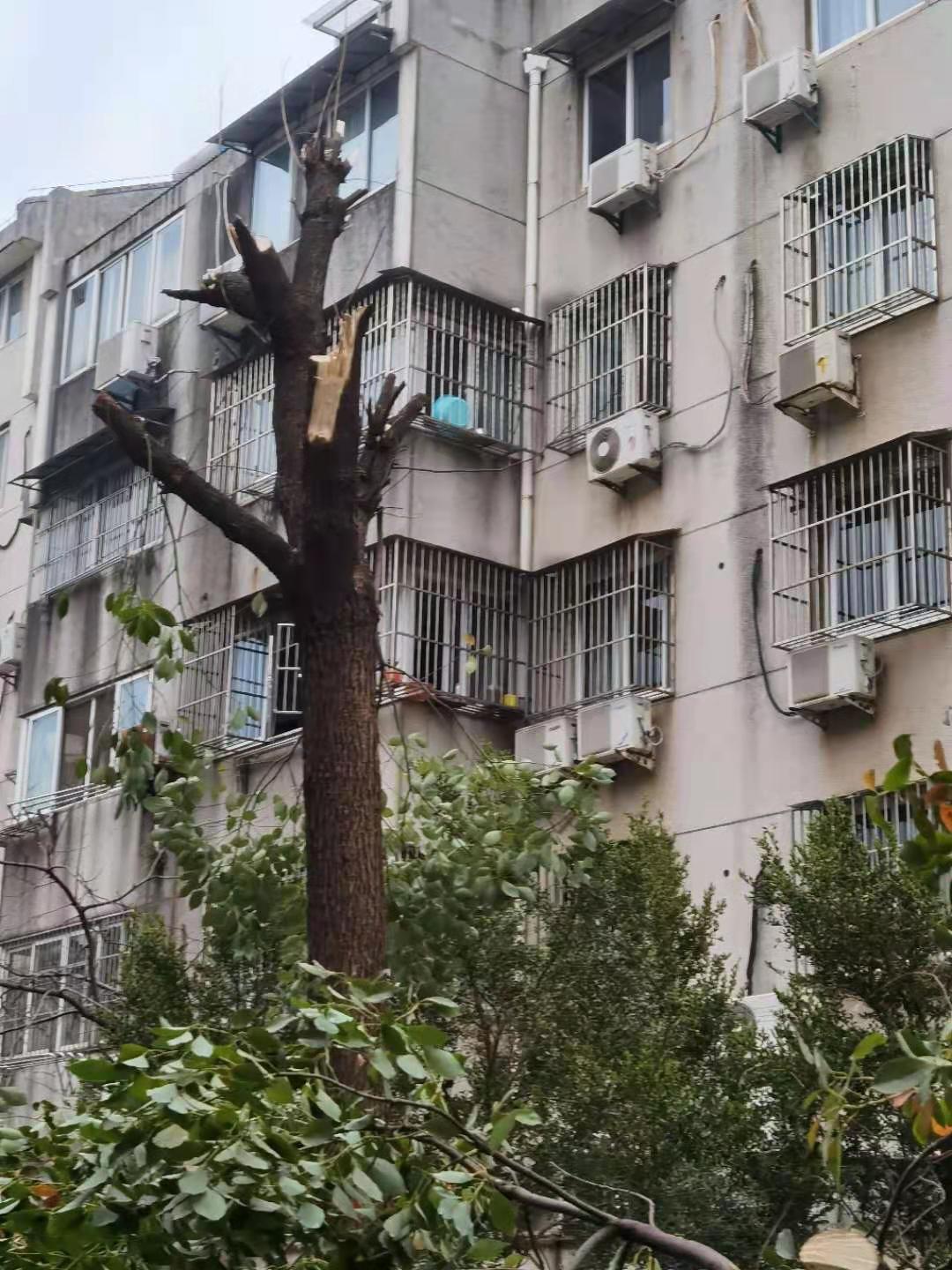 微信图片_20210303105554.jpg