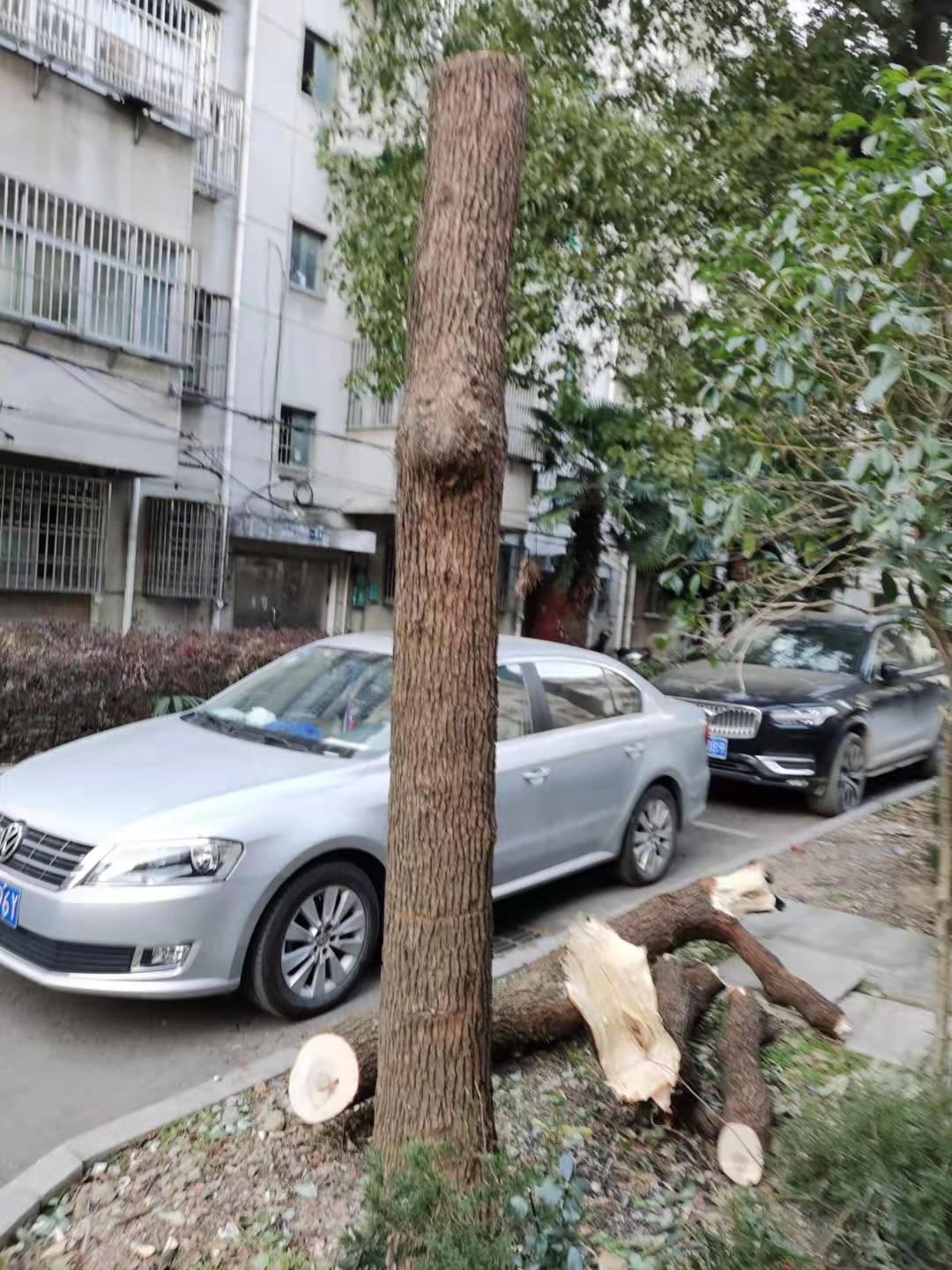 微信图片_20210303105617.jpg