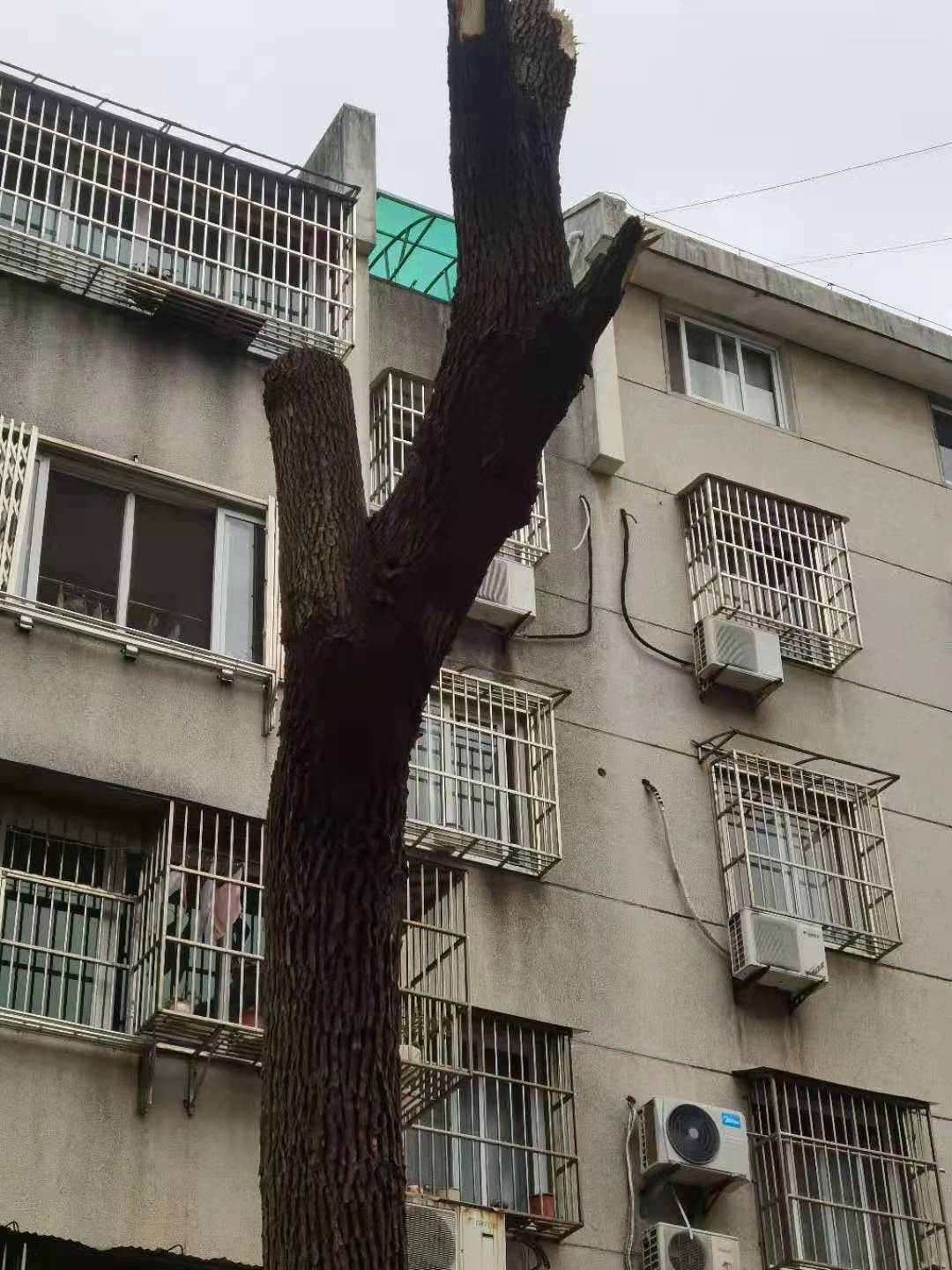 微信图片_20210303105708.jpg