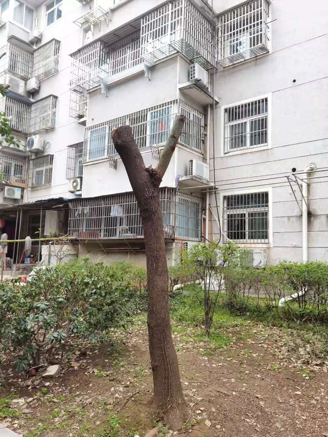 微信图片_20210303105727.jpg
