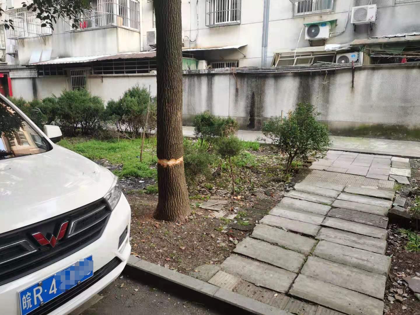 微信图片编辑_20210303111857.jpg