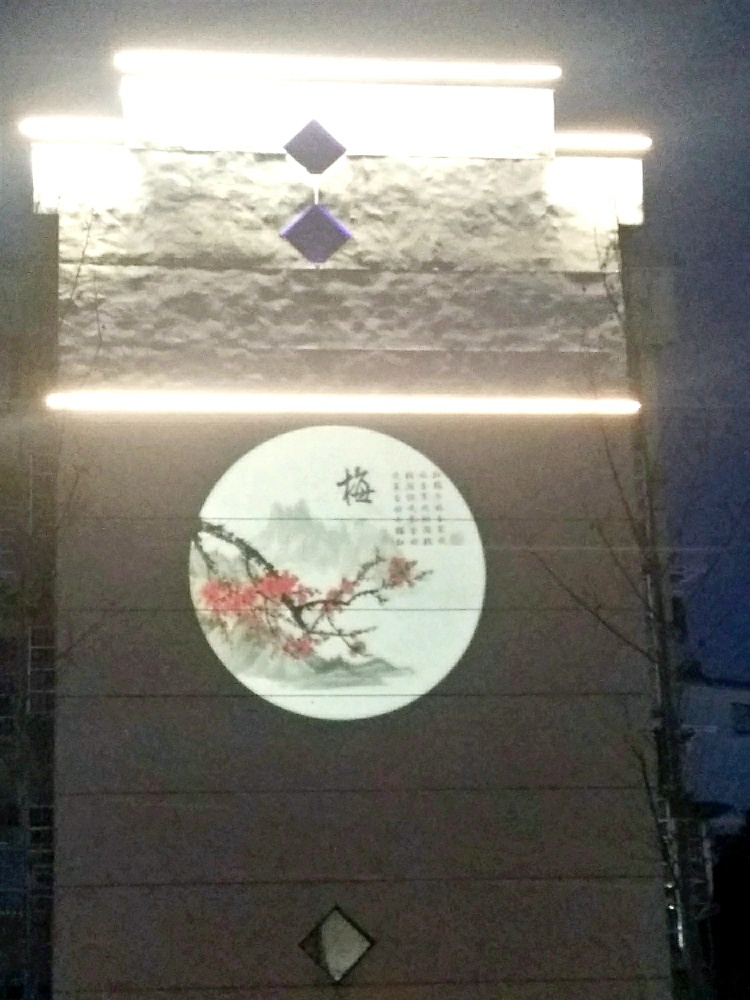1613900092403353_117.jpg