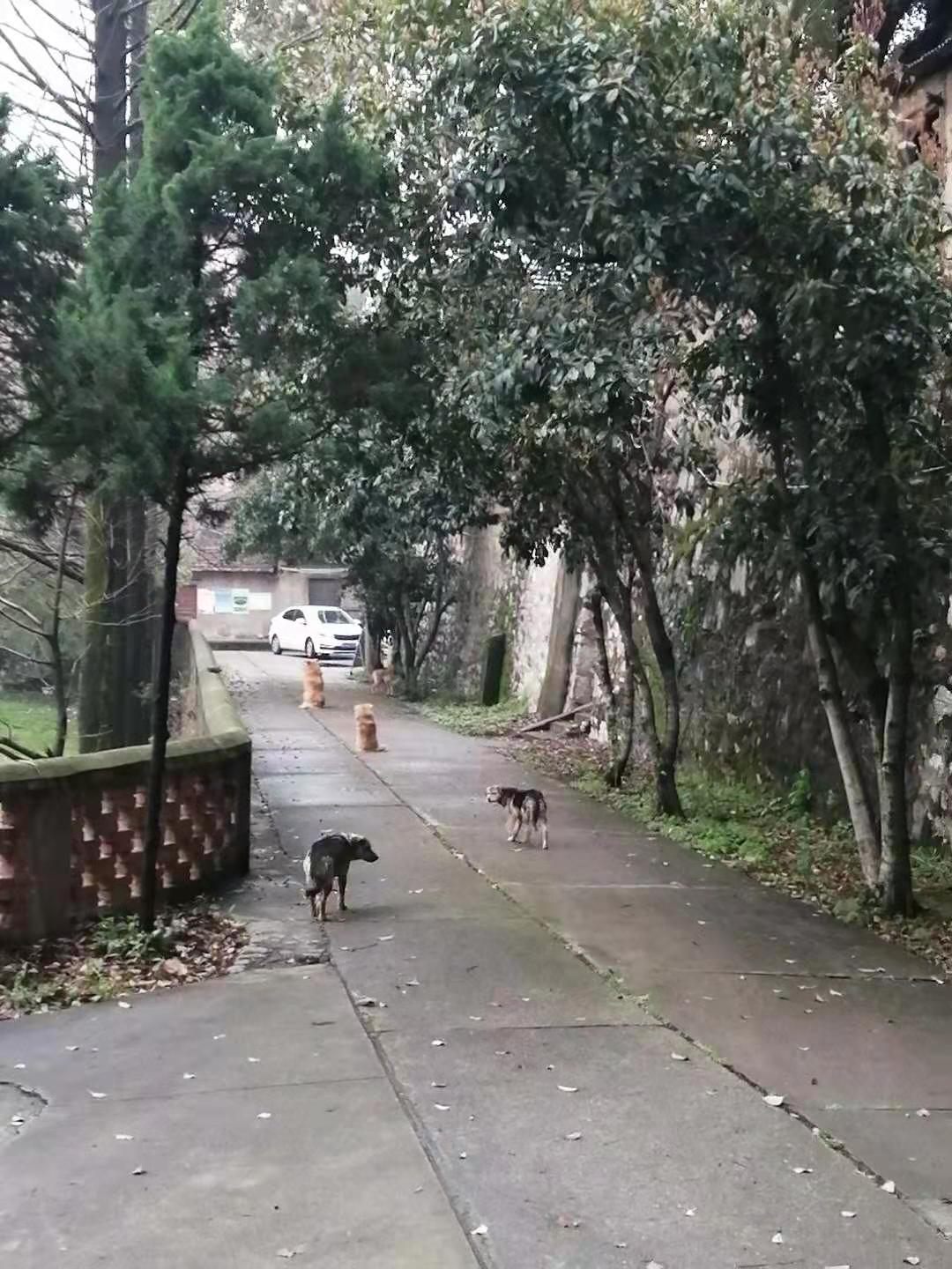 微信图片_20210308153950.jpg