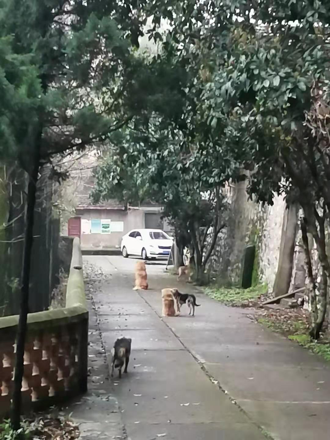 微信图片_20210308154008.jpg