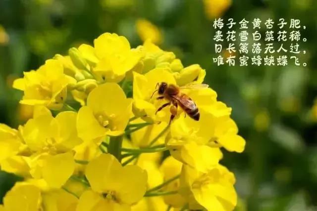 微信图片_20210313114812.jpg