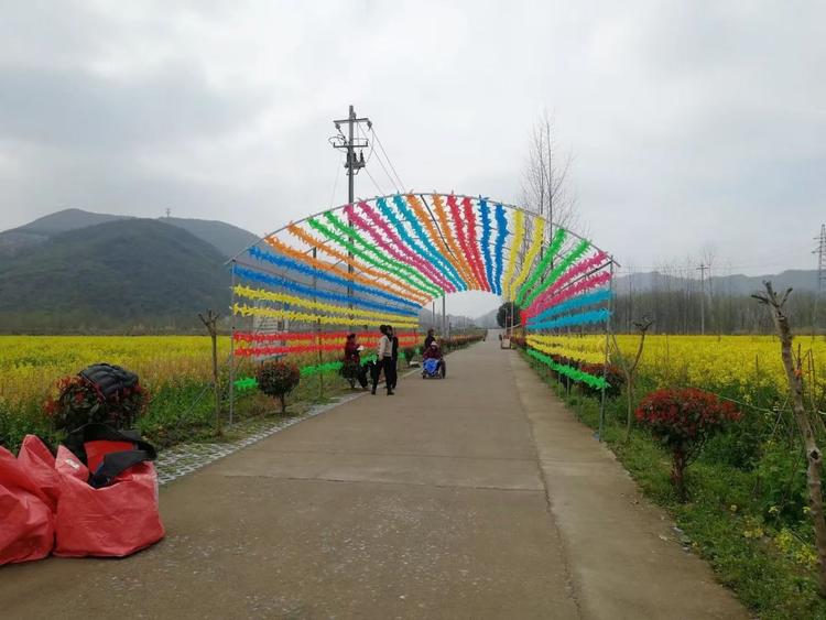 油菜花节