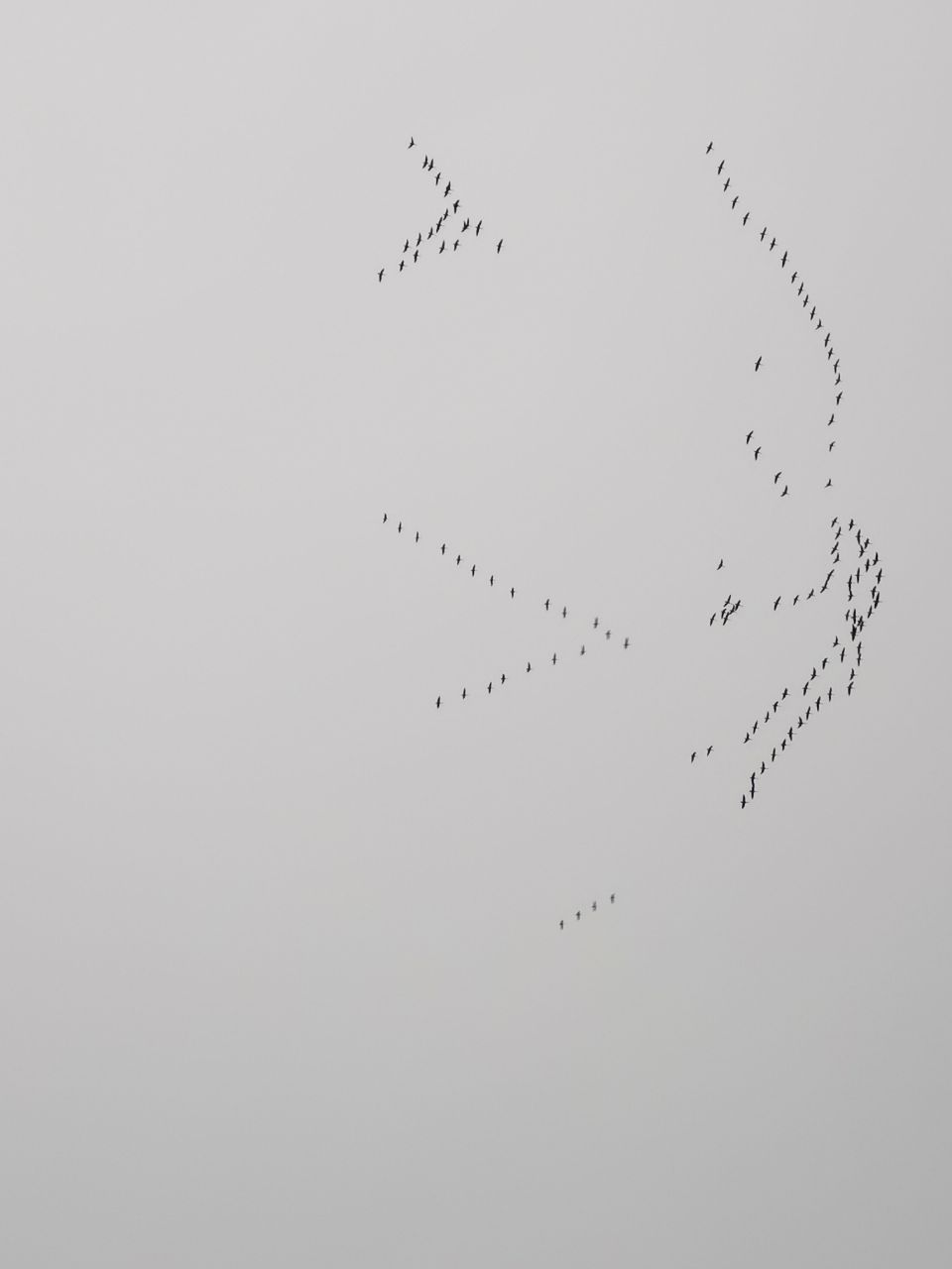 front2_0_FvlekvmLmdrnd3KOqeYmQ42pQS3A.1615810554.jpg