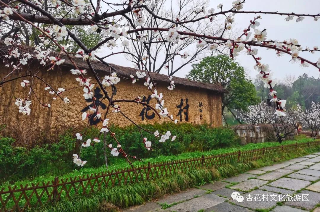 微信图片_20210318101545.jpg