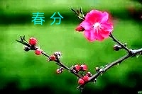 IMG_20210320_143841.JPG