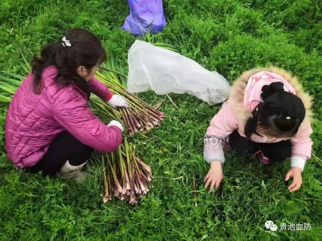 微信图片_20210322082742.jpg