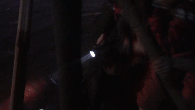 5.gif