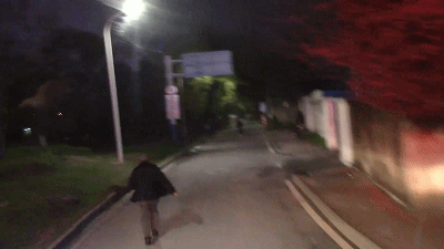 3.gif