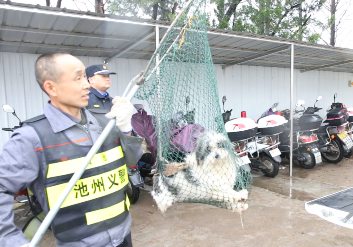 微信图片_20210325083013.png