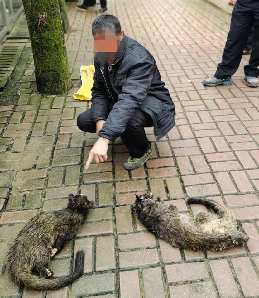 微信图片_20210325083651.jpg