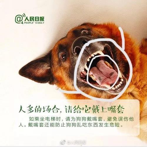 微信图片_20210331141913.jpg