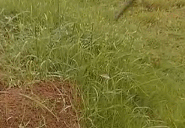 微信图片_20210402101212.gif