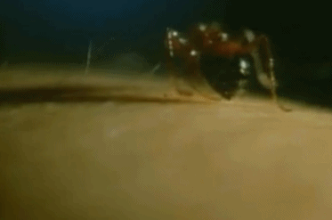 微信图片_20210402101215.gif