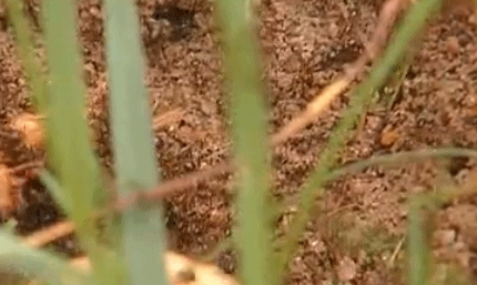 微信图片_20210402101222.gif