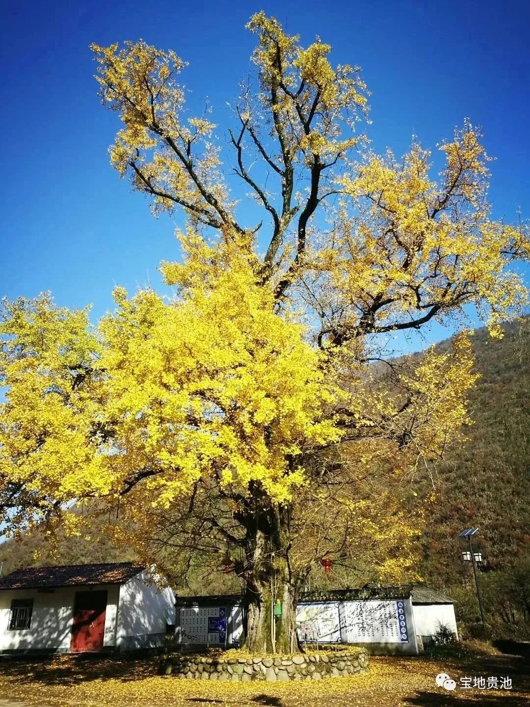 微信图片_20210402113721.jpg