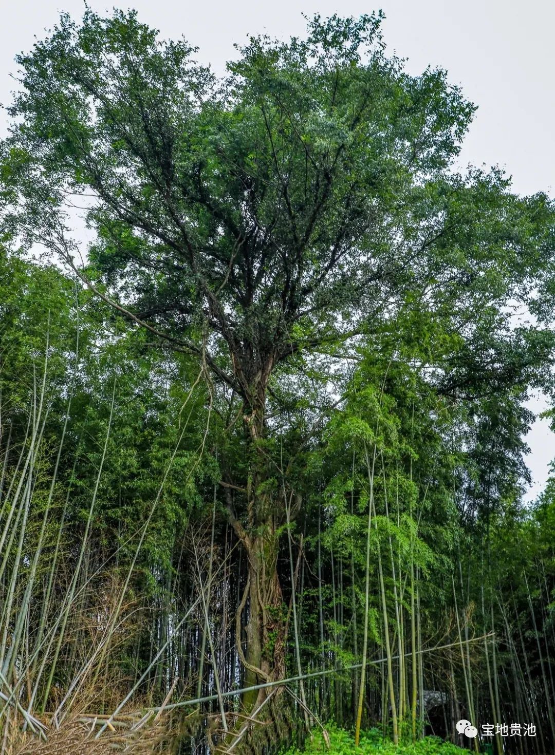 微信图片_20210402113744.jpg