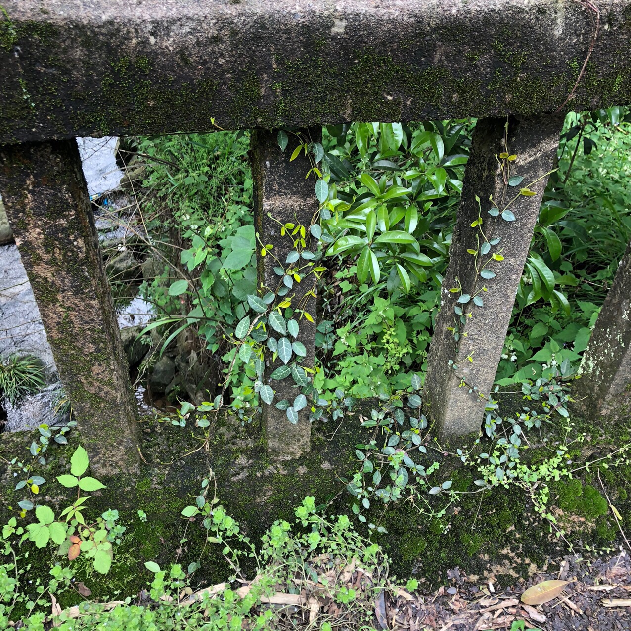 front1_0_Fuw2Q2cGhwqrb07RUytZ2Txc_z2b.1617604354.jpg
