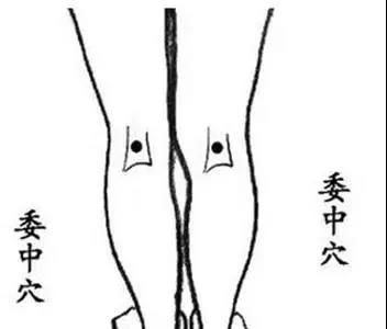 微信图片_20210413090041.jpg