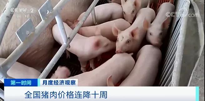 微信图片_20210414080834.jpg