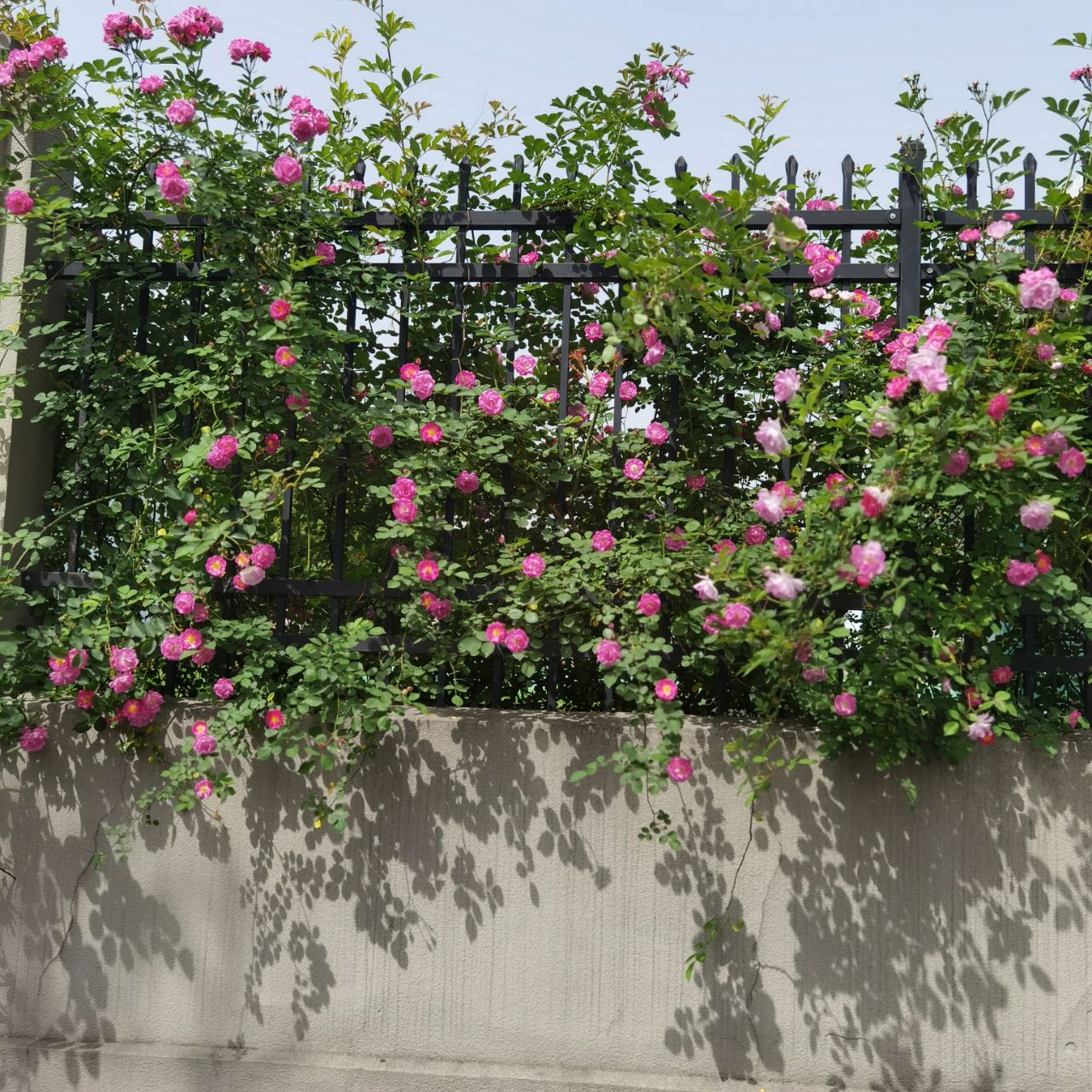 front2_0_Frp_Bs4kFQYiOzLK6FioqV4zIrLI.1618638527.jpg
