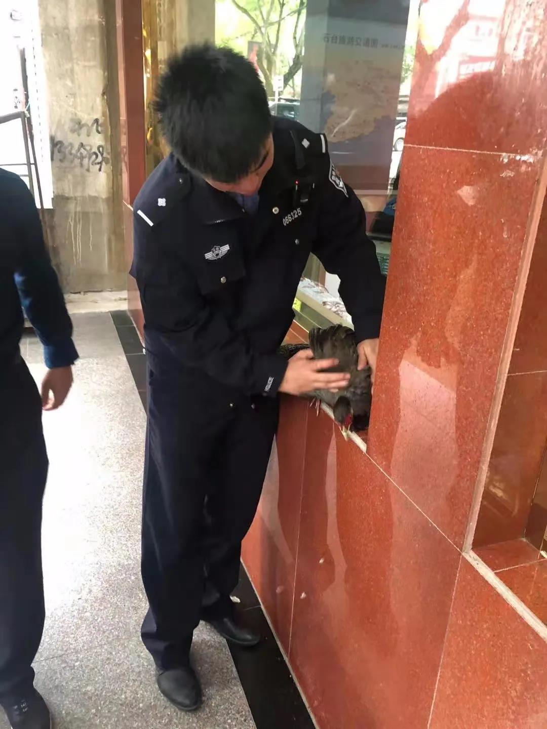 微信图片_20210426093300.jpg