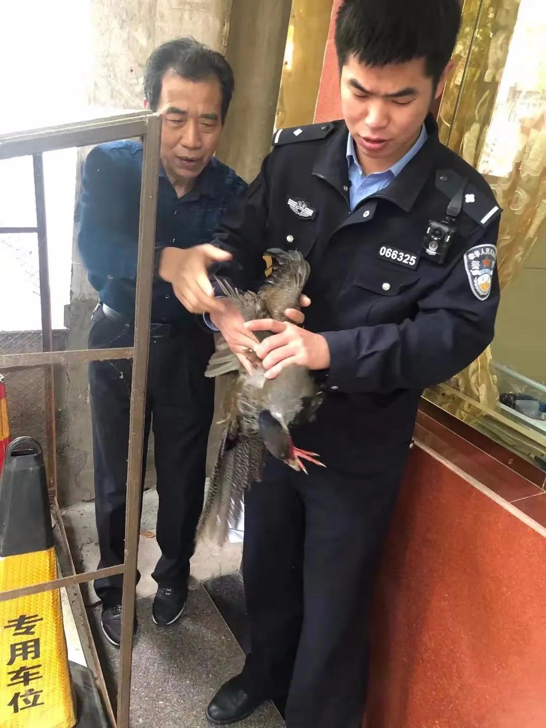 微信图片_20210426093308.jpg