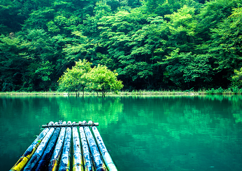 醉山野.jpg