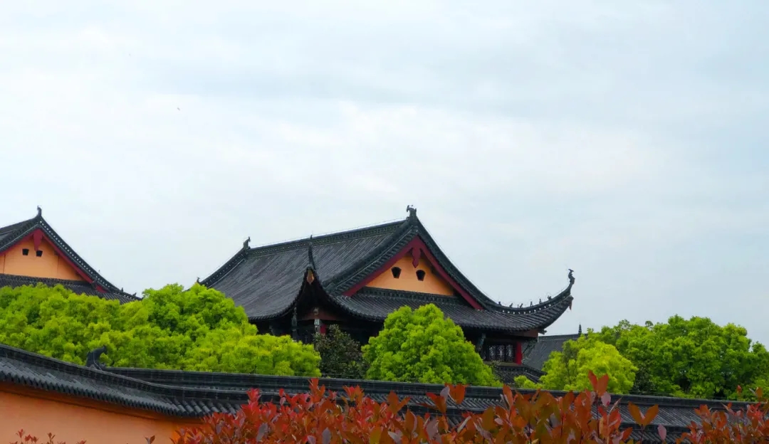 640 (1).webp.jpg