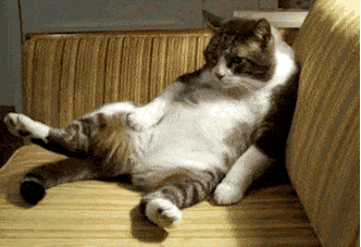 微信图片_20210505094359.gif