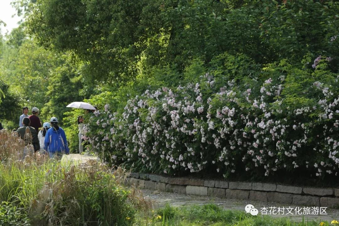 微信图片_20210506080357.jpg