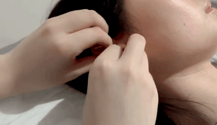 13.gif