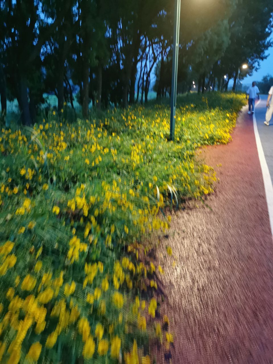 front2_0_FkSNSPnr3PjgnHBP7ZsDl5h3xLkd.1620818103.jpg