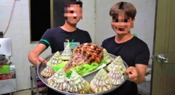 微信图片_20210513144519.png