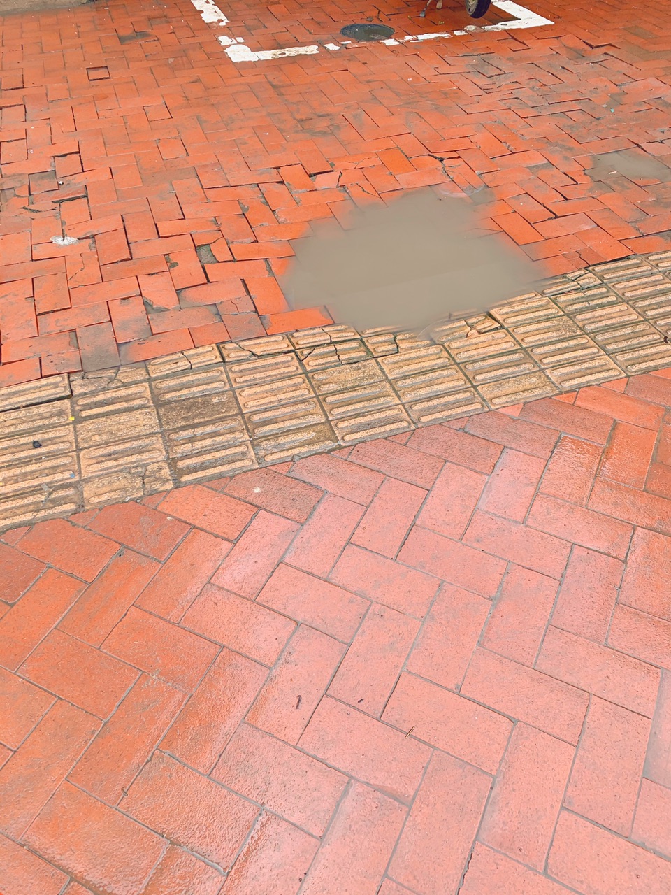 front1_0_FptzSrx1s8wnap72NXNfi3GmOsQU.1620956407.jpg