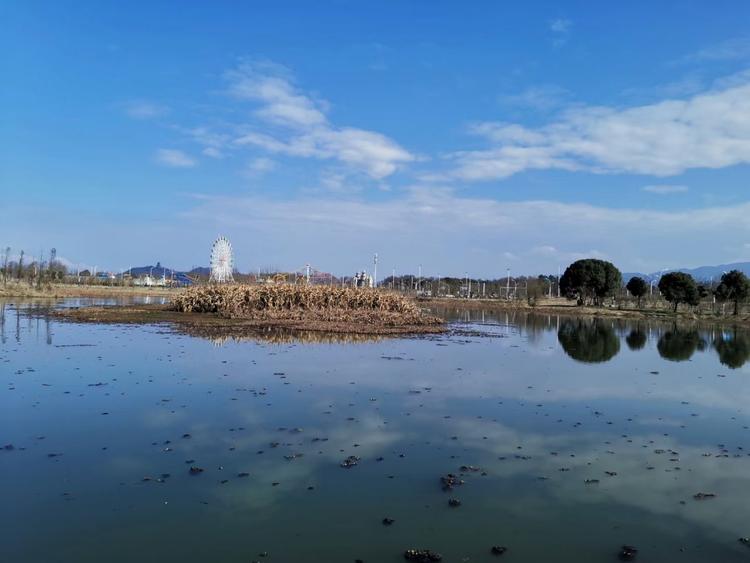 【摄影大赛】大美平天湖湿地公园
