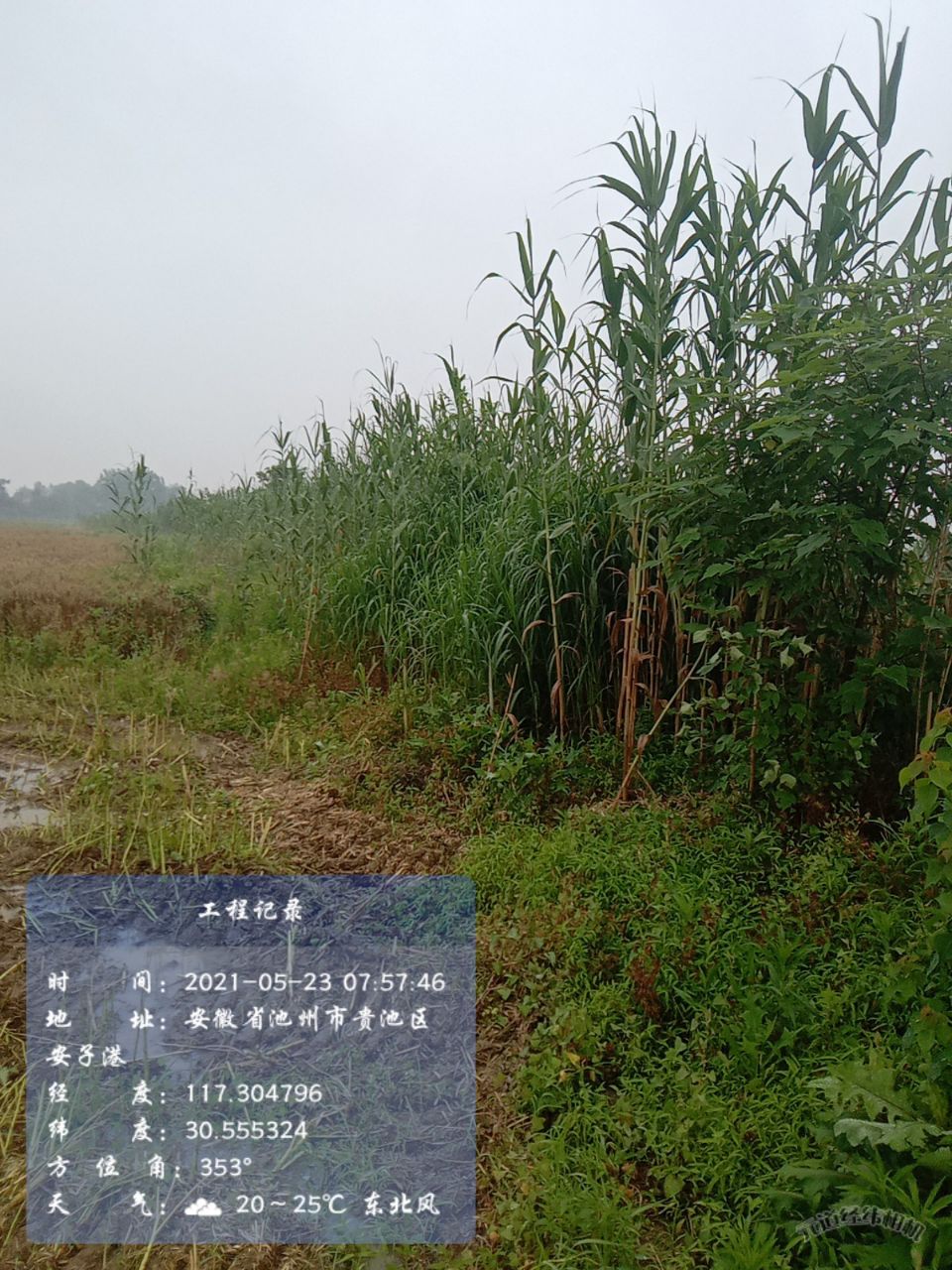 front2_0_FqP3n0C600aFGQc455r_Km1WbVK9.1621729735.jpg