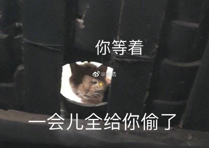 front2_0_FmPLjVVswayfzzG3dL2Hhxx2xlkF.1622283107.jpg