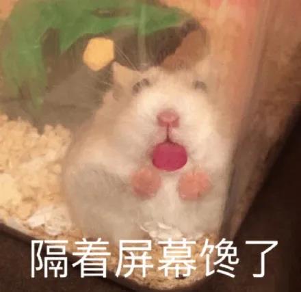 微信图片_20210531172446.jpg