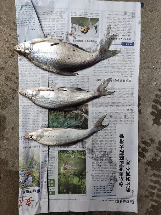 微信图片_20210602080426.jpg
