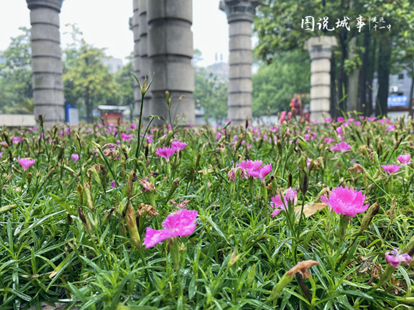 微信图片_20210521171228_副本_副本.jpg