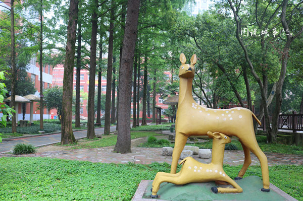IMG_0623_副_副本.jpg