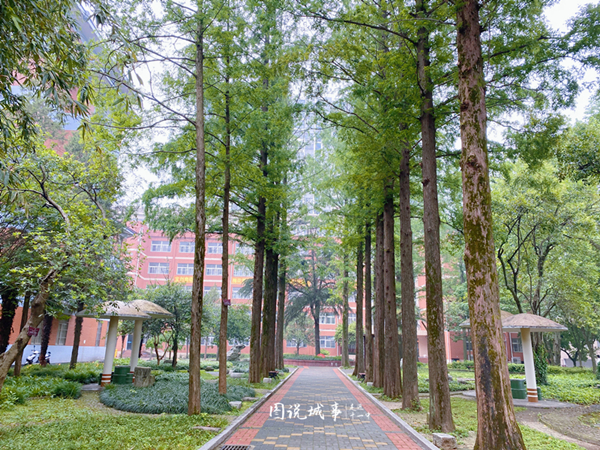 微信图片_20210521171643_副本_副本.jpg