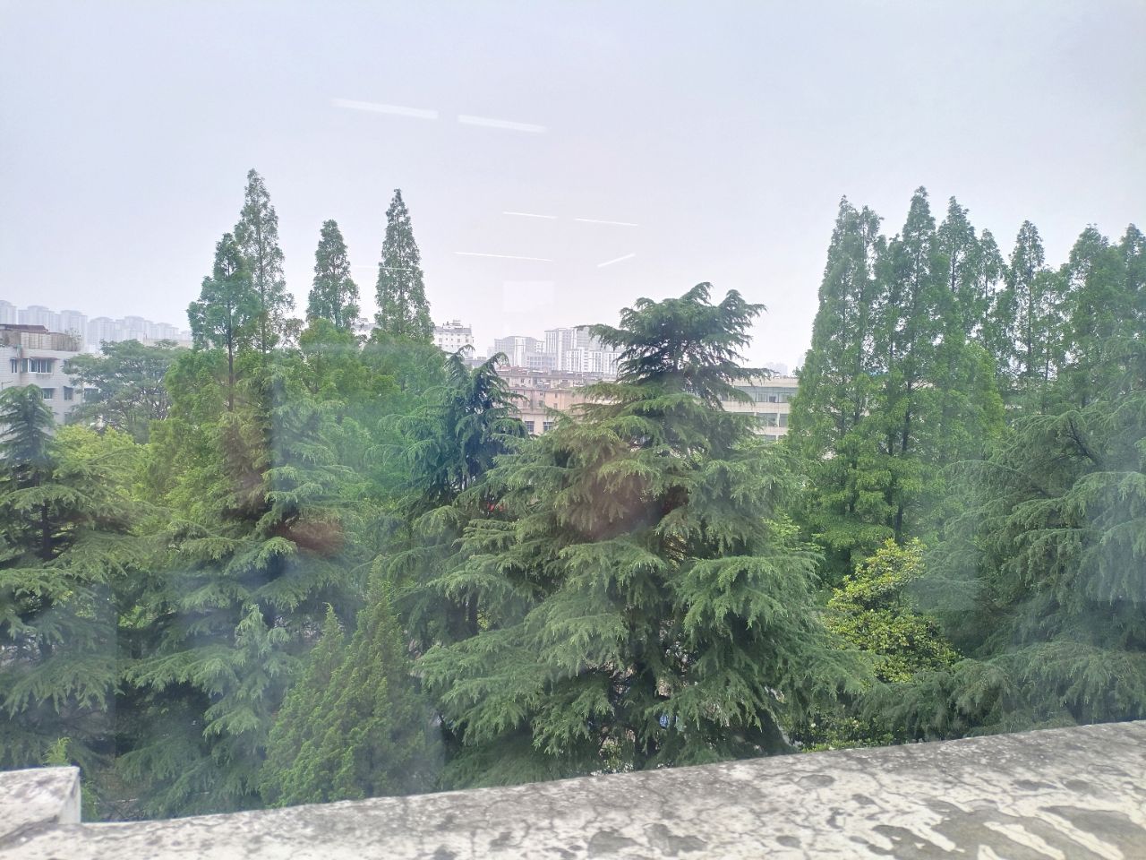 front2_0_Ft8zHlJNgLTwDNBNg7akCMZFbILg.1622884052.jpg