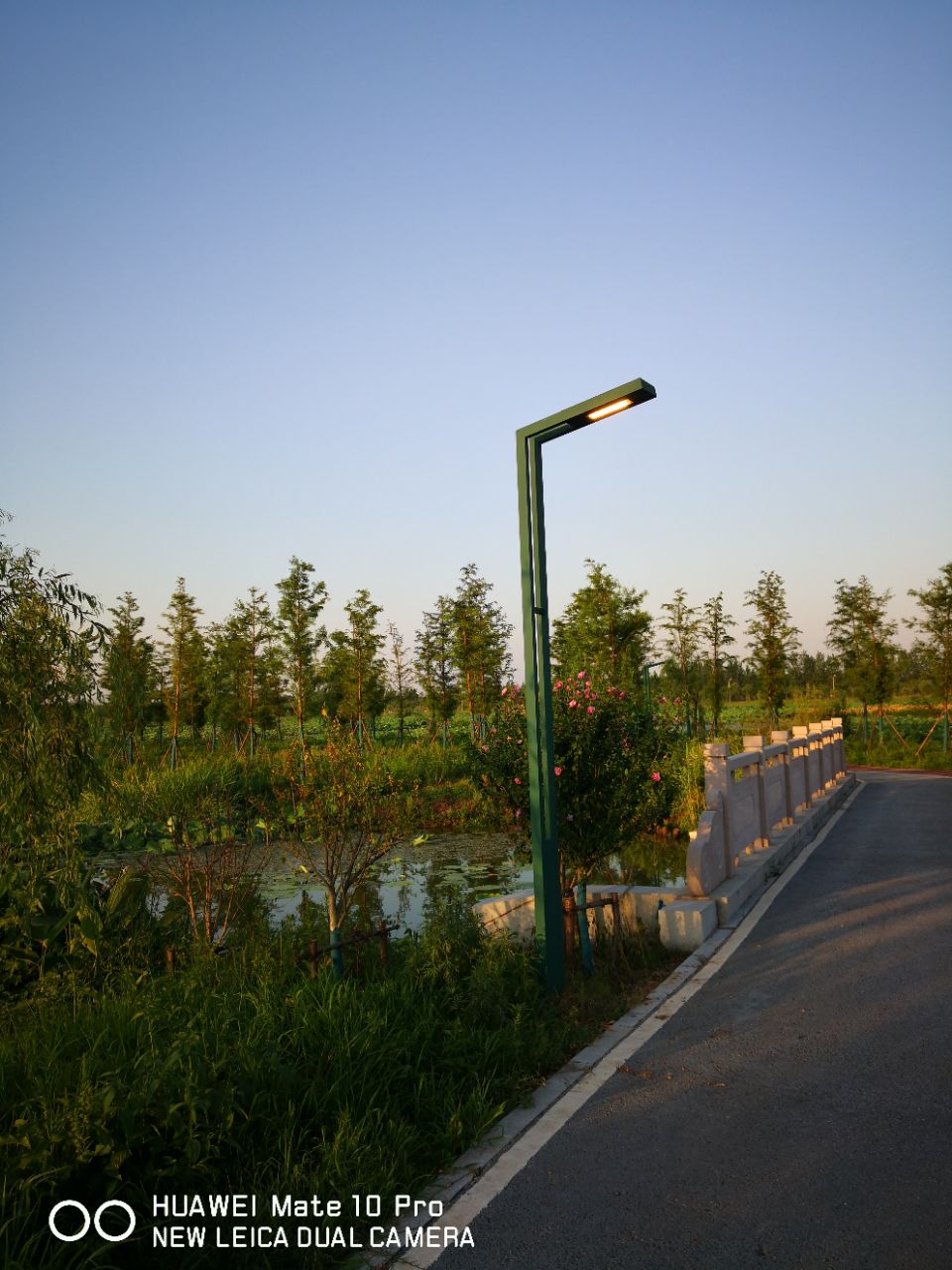 front2_0_FnD6G4t0NaU5YQW4jNIrYqtyuUnY.1622984605.jpg